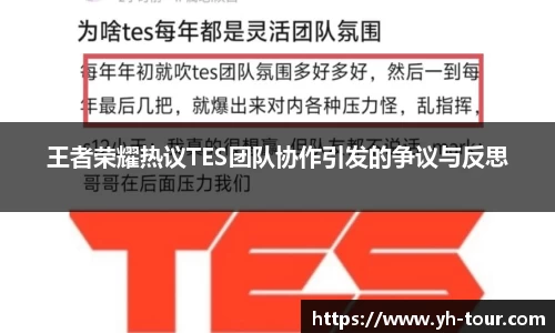 王者荣耀热议TES团队协作引发的争议与反思