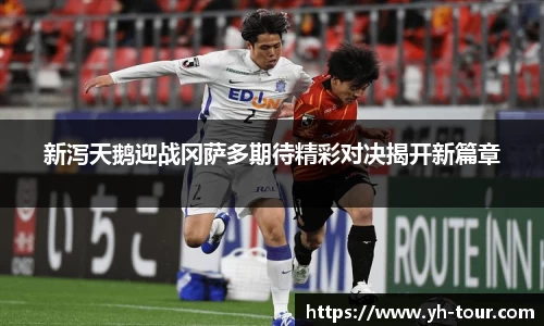 九游体育登录入口